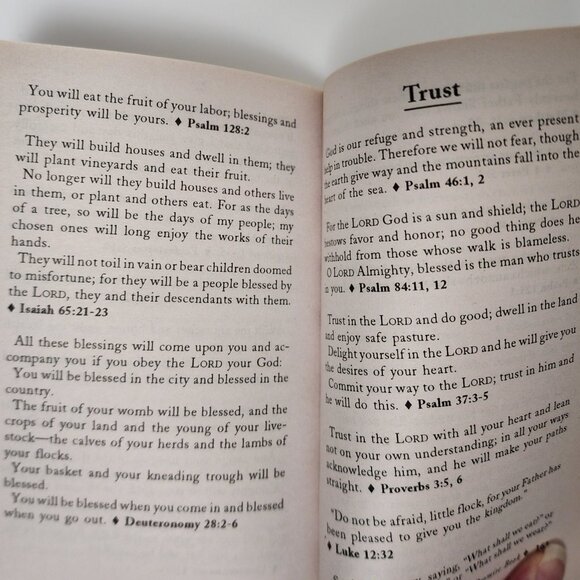 The Bible Promise Book: 1.000 Promises from God's Word NIV NEW - Picture 4 of 6